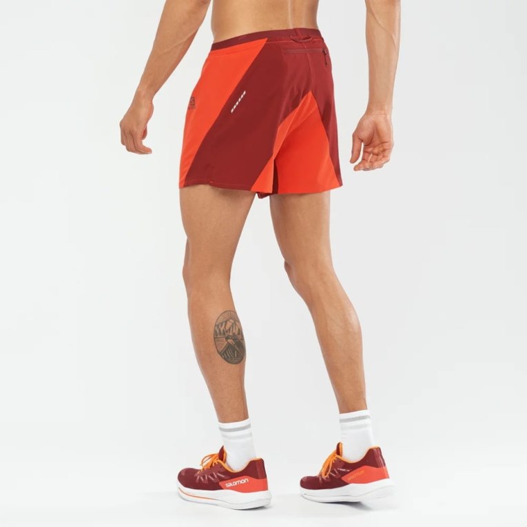 Bermudas Salomon Cross 5'' Hombre Rojos | MX VEIC382